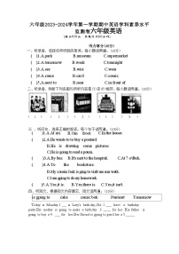 广东省韶关市2023-2024学年六年级上学期期中英语试题