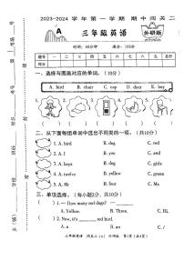 河南省周口市沈丘县部分学校2023-2024学年三年级上学期期中英语试题