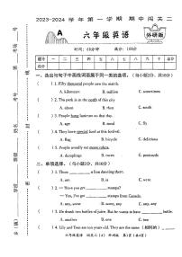 河南省周口市沈丘县部分学校2023-2024学年六年级上学期期中英语试题