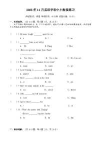 江苏省南宁市天桃教育集团2023-2024学年六年级上学期期中英语试题