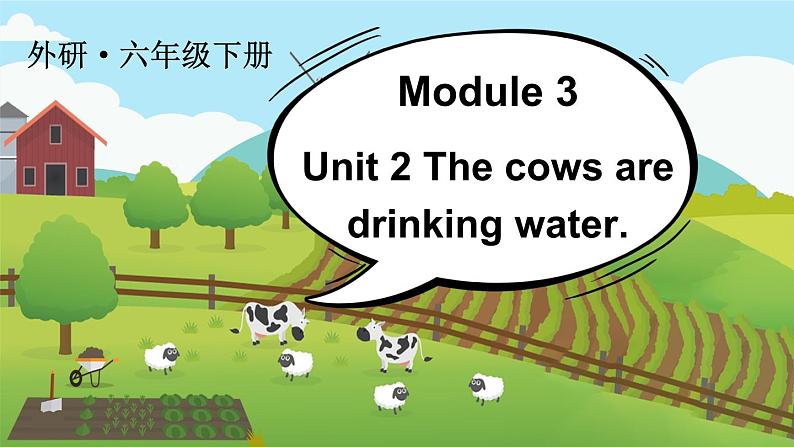 Module 3 Unit 2 The cows are drinking water（课件+素材）外研版（三起）英语六年级下册01