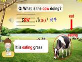 Module 3 Unit 2 The cows are drinking water（课件+素材）外研版（三起）英语六年级下册