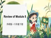 Review of Module 8（课件）外研版（三起）英语六年级下册