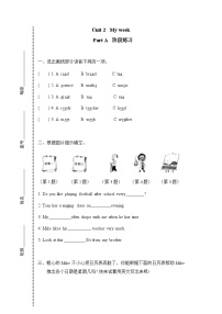 英语人教版 (PEP)Unit 2 My week Part A当堂检测题