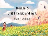 Module 5 Unit 1 It's big and light（课件+素材）外研版（三起）英语五年级下