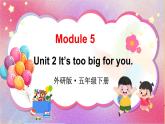 Module 5 Unit 2 It’s too big for you（课件+素材）外研版（三起）英语五年级下