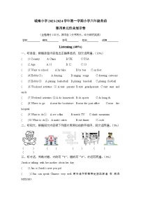 广东省佛山市南海区大沥城南小学2023-2024学年六年级上学期11月月考英语试题