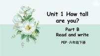 英语人教版 (PEP)Unit 1 How tall are you? Part B完整版ppt课件