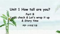 人教版 (PEP)六年级下册Unit 1 How tall are you? Part B公开课ppt课件