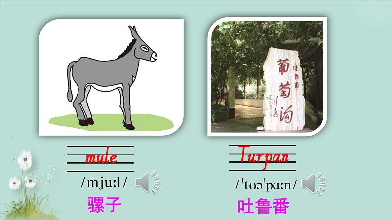 人教PEP版英语 六年级下册 Unit 3 Part A 第2课时 课件+音视频素材08