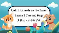 小学英语冀教版 (三年级起点)三年级下册Lesson 2 Cats and Dogs一等奖课件ppt