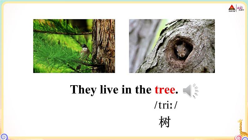 冀教版英语三年级下册 Unit 2 单词音频06