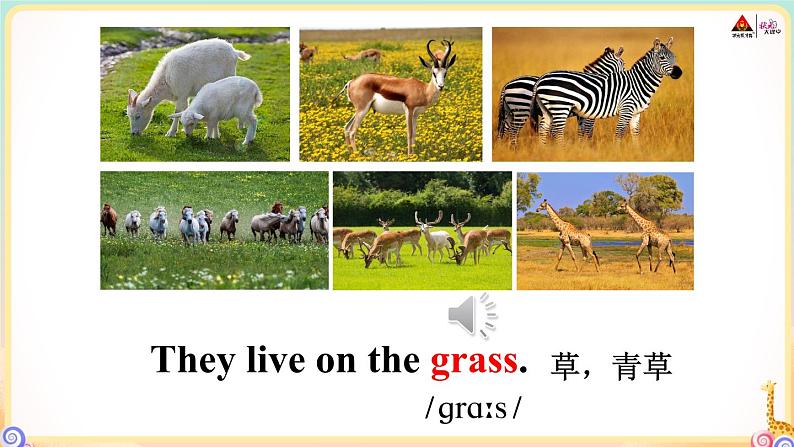 冀教版英语三年级下册 Unit 2 单词音频08