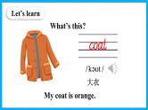 Unit 4 Whose Coat Is This Part A（课件+素材）陕旅版（三起）英语三年级下册