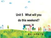 人教精通版英語 四年級下冊 Lesson 30 課件+音視頻素材