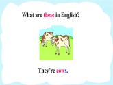 人教精通版英語 四年級(jí)下冊(cè) Lesson 35 課件+音視頻素材