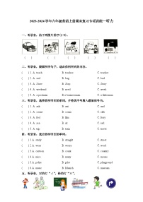 2023-2024学年六年级英语上册期末复习专项训练—听力