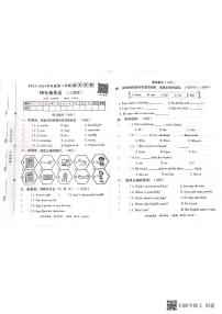 河北省邢台市沙河市2023-2024学年四年级上学期期中英语试题