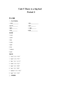 五年级英语上册Unit 5  There is a big bed Period 3（同步讲练测含答案）