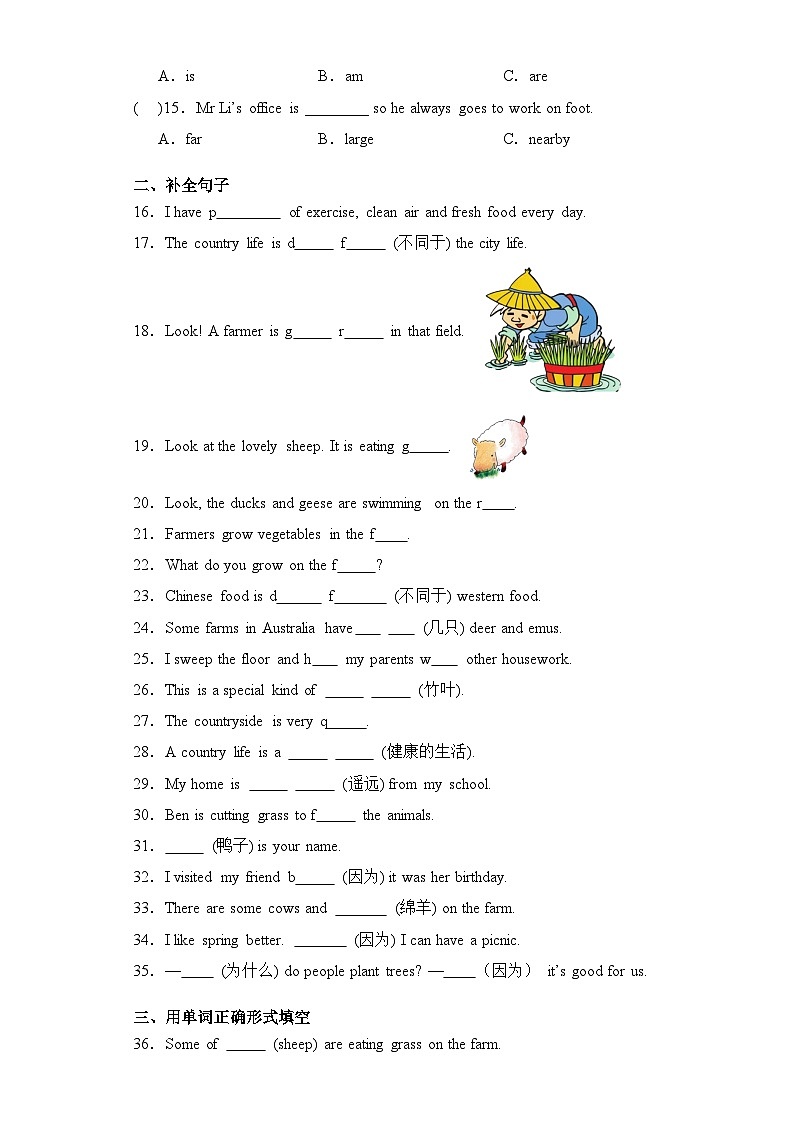 Module 1(基础卷)2023-2024学年六年级英语上册单元培优进阶训练（广州教科版用）第2页