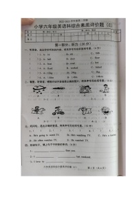 广东省汕头市潮南区2022-2023学年六年级下学期期末英语试题