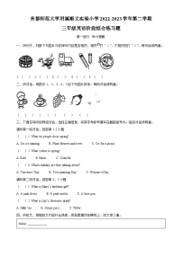 2022-2023学年北京市顺义区首师大附小北京版三年级下册期中测试英语试卷