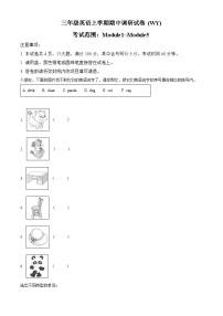 2022-2023学年河南省洛阳市偃师市偃师市新前程美语学校外研版（三起）三年级上册期中调研试卷英语试卷