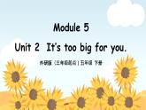 外研版小学英语（三起）五年级下册Module 5 Unit 2 It’s too big for you 课件