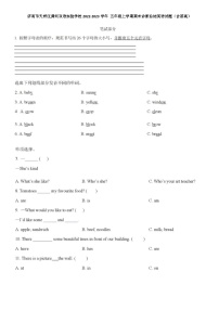 济南市天桥区黄河双语实验学校2022-2023学年 五年级上学期期末诊断总结英语试题（含答案）