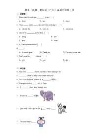 期末（试题）教科版（广州）英语六年级上册