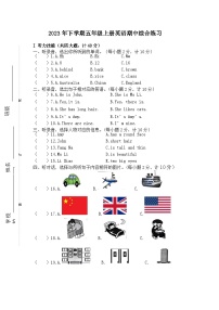 湖南省邵阳市新宁县解放小学、焦家龙小学等四校联考2023-2024学年五年级上学期期中考试英语试题