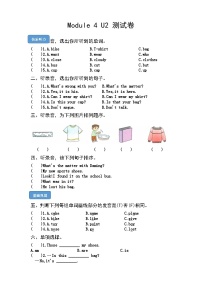 【课时练】外研版三起 2023-2024学年 小学英语 五年级上册 期末练习 M4U2 What's the matter with Daming（试卷）