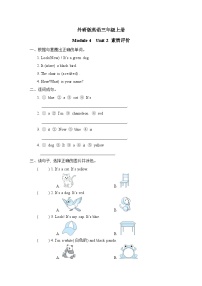 外研版英语三上 Module 4 Unit 2 素质评价（测评含答案）