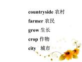 清华版（一起）小学英语四年级下册 同步课件 《Unit 1 Home sweet home  Lesson 5》 课件