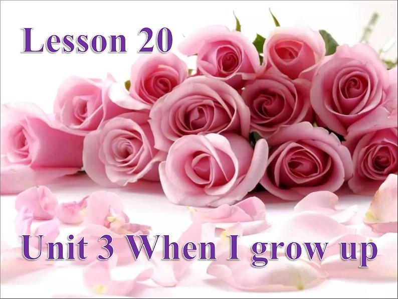 清华版（一起）小学英语四年级下册 同步课件 《Unit 3 When I grow up Lesson 20》 课件01