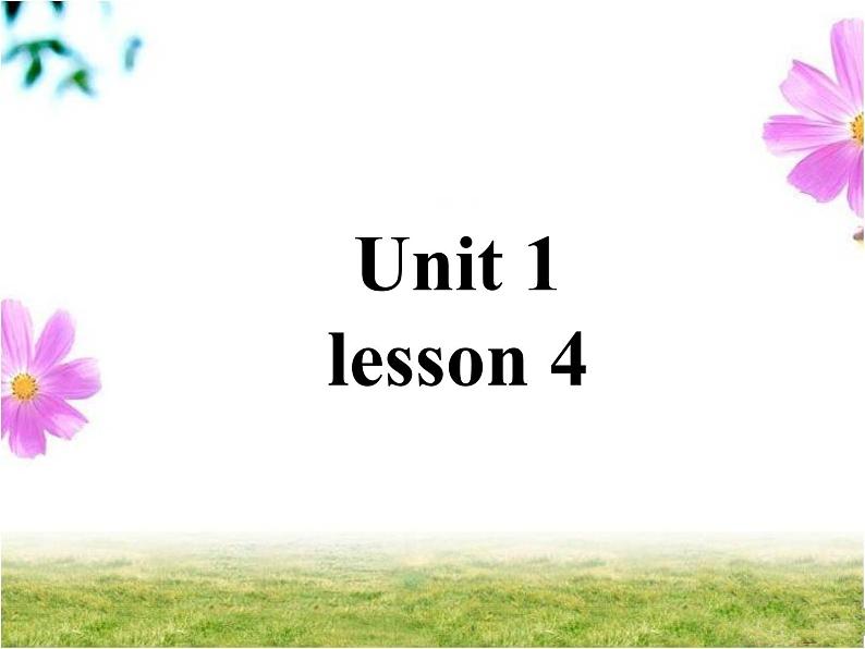 清华版（一起）小学英语四年级下册 同步课件 《Unit 1 Home sweet home lesson 4》课件01