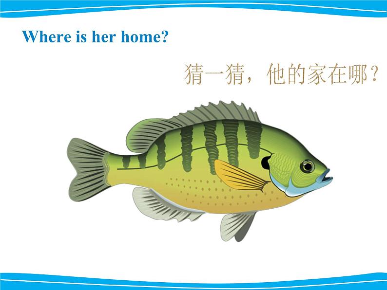 清华版（一起）小学英语四年级下册 同步课件 《Unit1 Home sweet home Lesson2 》课件02