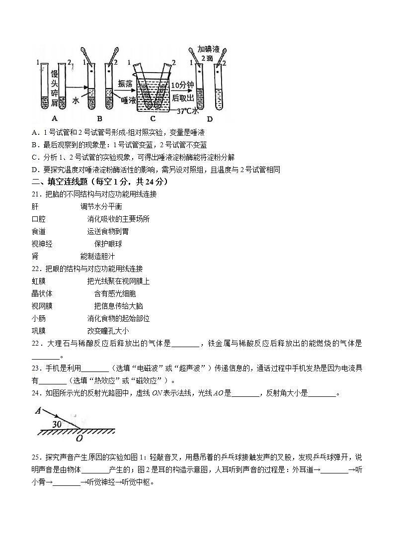 广东省佛山市南海区南海市大沥城区小学2023-2024学年五年级上学期1月月考英语试题第3页