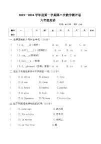 80，河南省周口市沈丘县县直小学等校2023-2024学年六年级上学期12月月考英语试题