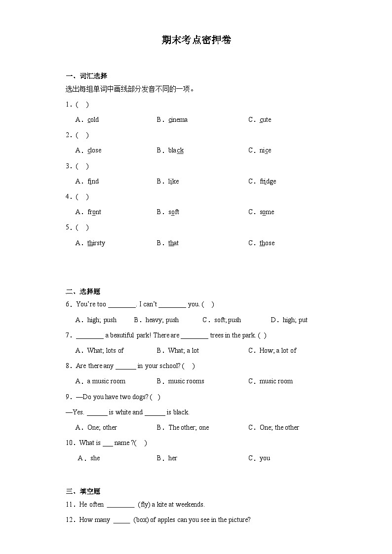 期末考点密押卷（试题）译林版（三起）英语五年级上册01