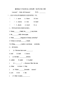 小学英语冀教版 (三年级起点)六年级上册Lesson 17 I Like All Seasons!随堂练习题