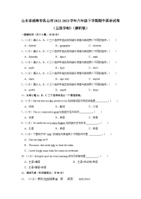 山东省威海市乳山市2022-2023学年六年级下学期期中英语试卷（五四学制）