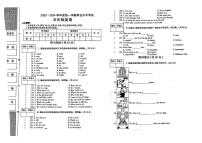 陕西省渭南市富平县2023-2024学年五年级上学期期末英语试题