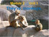 三年级下英语教学课件-They’re monkeys-外研社（三起）