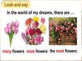 Unit 6 The world of my dreams 第2課時(shí) (Part 3)（課件+素材）2023--2024學(xué)年Join in 外研劍橋英語六年級(jí)下冊(cè)