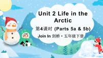 英语五年级下册Unit 2 Life in the Arctic多媒体教学课件ppt