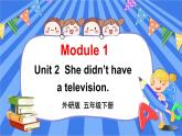 外研版小学英语五下Module1Unit 2  She didn’t have a television 课件.