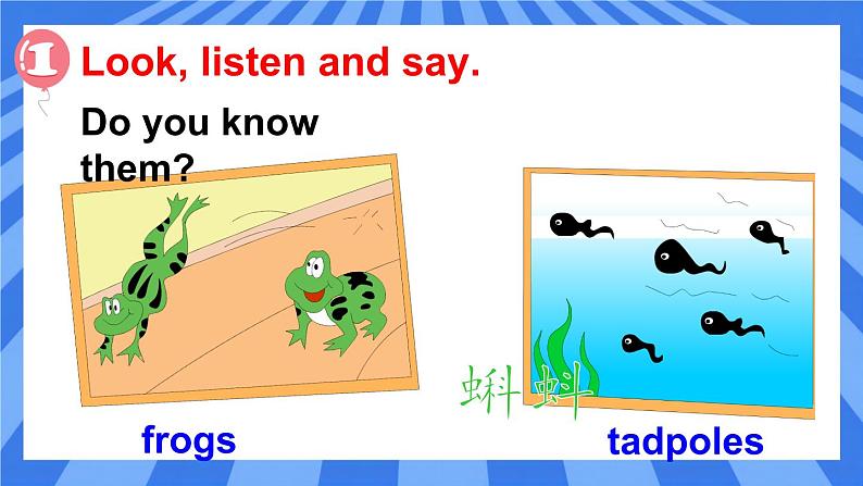 外研版小学英语五下Module1Unit 2  She didn’t have a television 课件.02