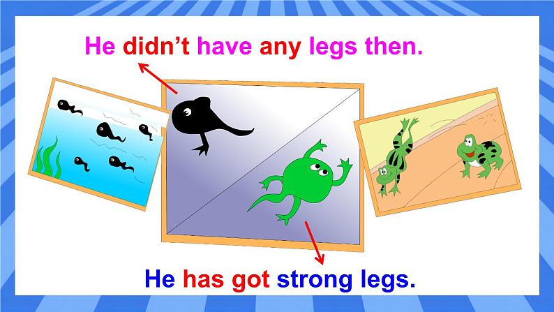 外研版小学英语五下Module1Unit 2  She didn’t have a television 课件.04