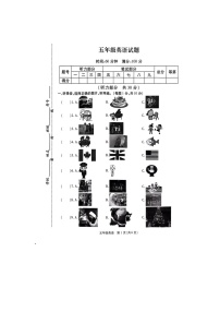 江苏省徐州市丰县2023-2024学年五年级上学期1月期末英语试题